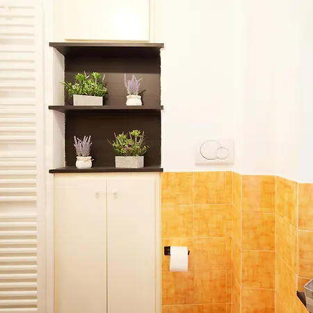 My Sweet Rolli 2 Minuti Dall' Acquario