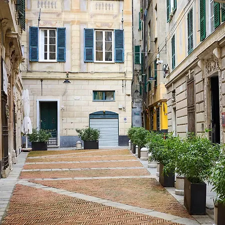 My Sweet Rolli 2 Minuti Dall' Acquario